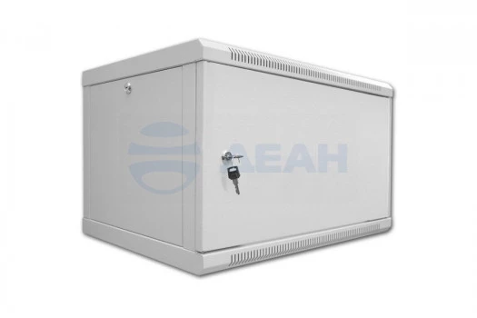 SN-Tsn 19" 6U450W-D Tantos Шкаф настенный