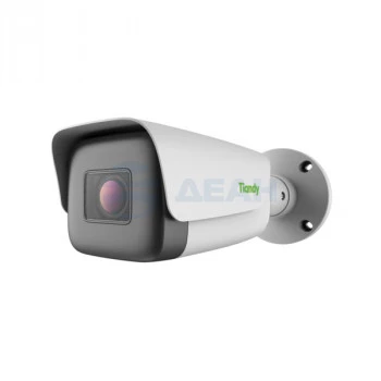 TC-C35TS Spec:I8/A/E/Y/M/H/2.7-13.5mm Tiandy IP камера уличная