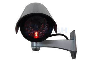                         CO-DM024 Муляж
						