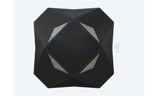                         Ri-S-2B черный
						