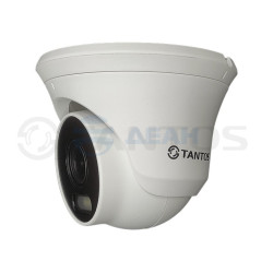                         TSi-Beco55FP
						
