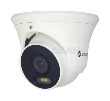 TSi-Ee50FPN Tantos IP камера купольная