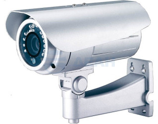                         PRO-i30SS2IRP-0007 Муляж
						