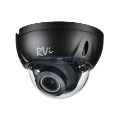                         RVi-1NCD2023 (2.8-12) (black)
						