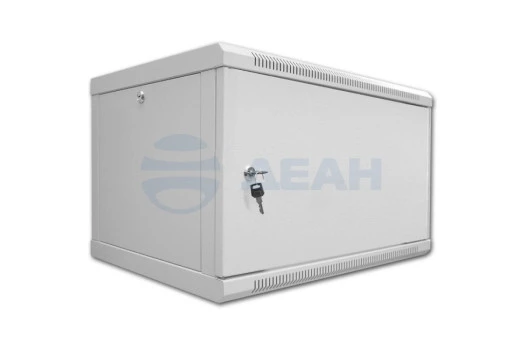SN-Tsn 19" 6U450W-D Tantos Шкаф настенный