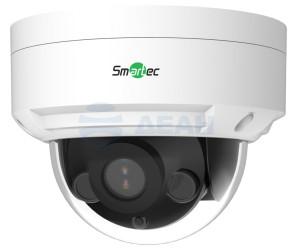                         IP камера купольная STC-IPM5506A/1 (Smartec) 
						