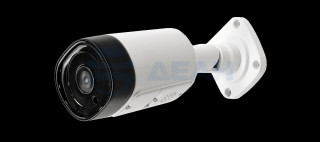                         IP камера SV-BA301-E (ELTEX) 
						