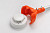 appFastViewPictureSliderItemPicture_image