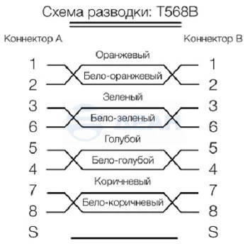 264564_1