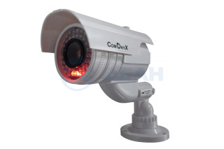                         CO-DM026 Муляж
						