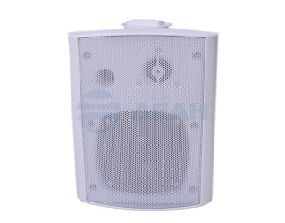                         Оповещатель речевой Глагол Н3-10IP (Тромбон) 
						