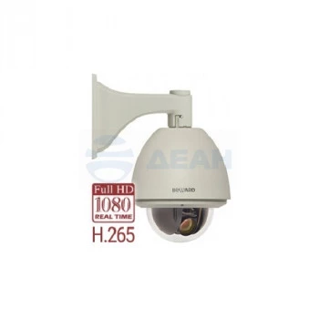 B85-20H2 Beward IP камера купольная